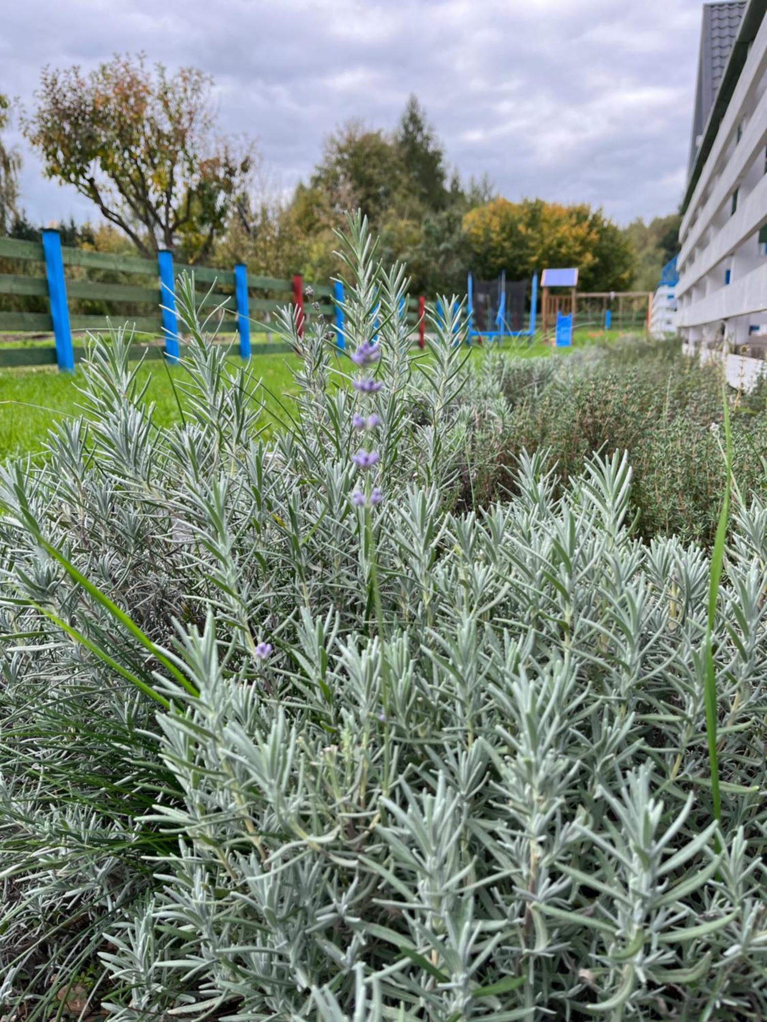 Domki W Dolinie Bobru Siedlecin Exterior photo